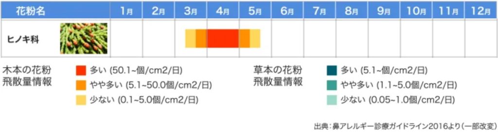 ヒノキ花粉いつからいつまで 飛散量は例年以上 地域別予想も Kerorin S Life Scoop