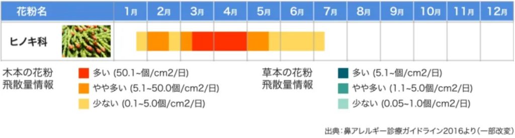 ヒノキ花粉いつからいつまで 飛散量は例年以上 地域別予想も Kerorin S Life Scoop